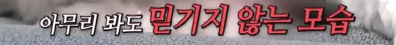 bt8ea5a824cf0dbdf1a63c9823dbb4e9df.jpg