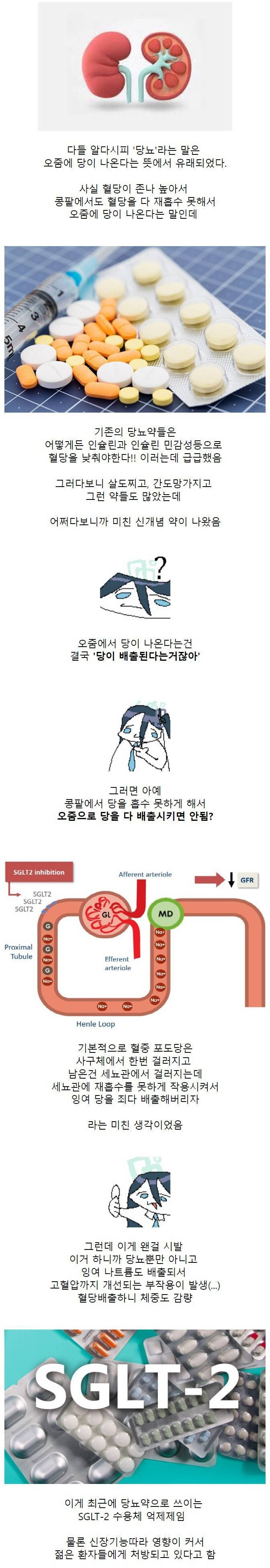 btdf7460c72e3550d98eff29c58d144d82.jpg