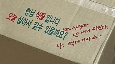 형님 식물입니다.
