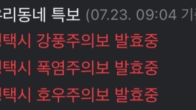 평택시 근황
