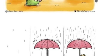 소소한 동물 만화
