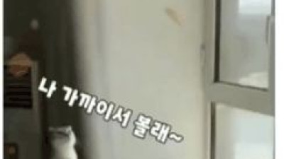 집사야 이건 좀 아니지 않냐?
