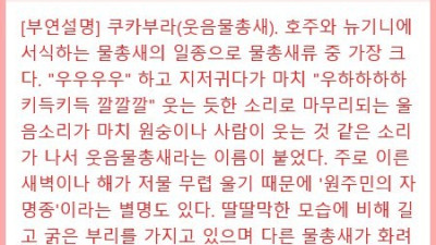정글에서 항상 들리던 소리의 주인공