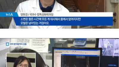 마약 검사를 위해 필요한 머리카락 갯수