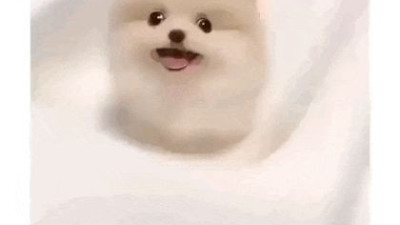 미끄러워 나오지를 못함