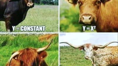 함수소의 그래프