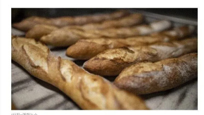 오유인들은 아침에 빵 먹는 비율이 높은것으로 밝혀져....충격