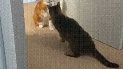 원 펀치 쓰리 강냉이