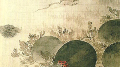 수박 훔쳐먹다 걸린 서리범