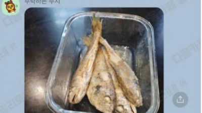 회사에 도시락 싸갔는 데 사람들이 놀려