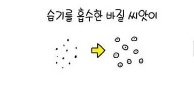 도시락 PTSD.JPG