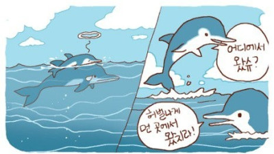 돌고래의 언어능력