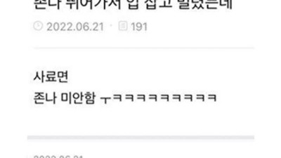 개 미안할때