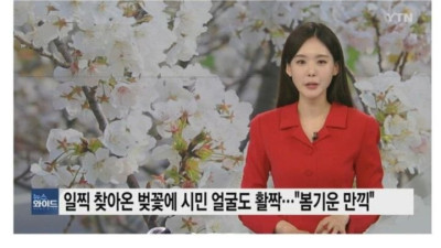 일찍 찾아온 벚꽃에 시민들 얼굴도