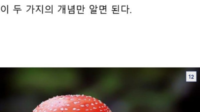 병해충으로 등록된 나무를 죽이는 버섯의 발생 조건