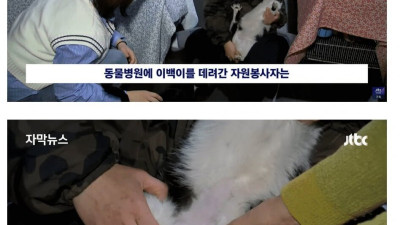 중성화를 하랬더니 성전환을..