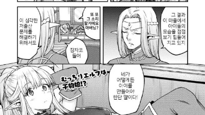 저출산 문제 해결하는 엘프.manga