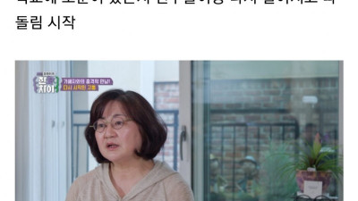 학폭사건 노쇼 변호사