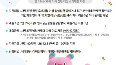 서울시 청년 대출 네이밍