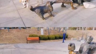 댕댕이의 공감능력