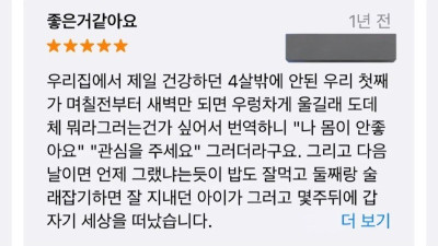 고양이 번역기 리뷰 넘 슬퍼...