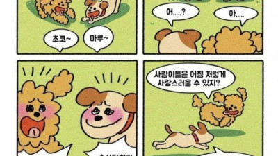 여운이 남는 네컷만화들