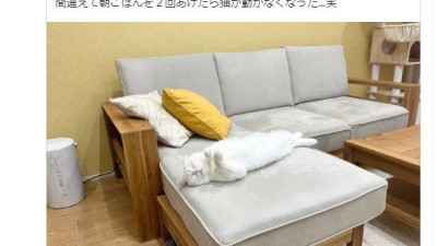 하...... 나도 월급 두번 주는 사장 있으면 좋겠다 ㅎ