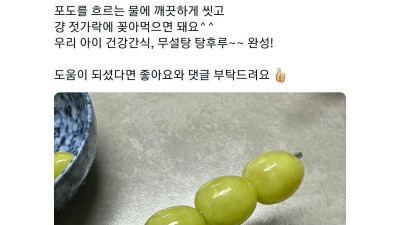요즘 뜨고 있다는 무설탕 탕후루